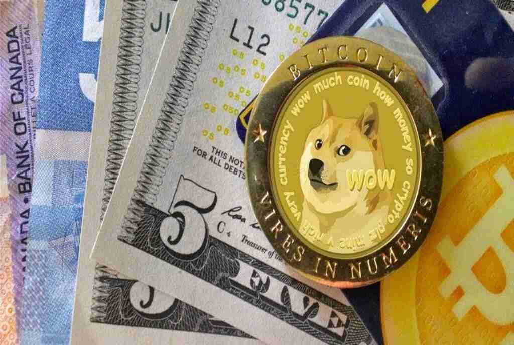 Dogecoin price