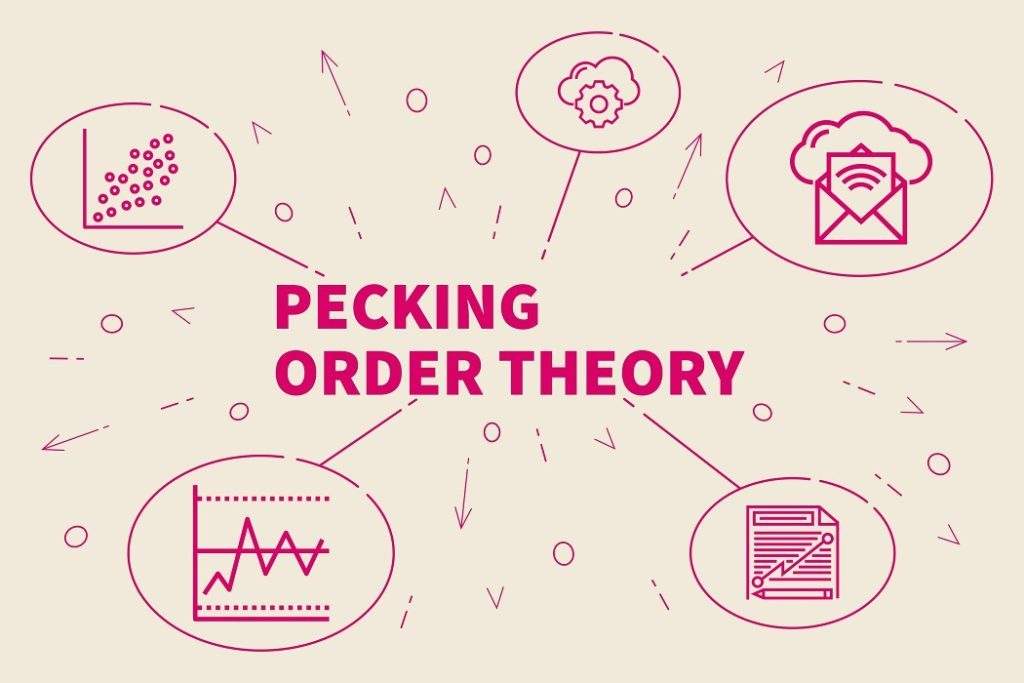  Pecking order theory