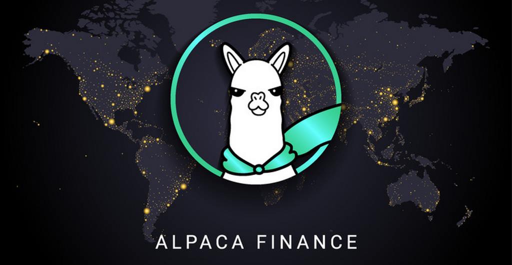 Alpaca