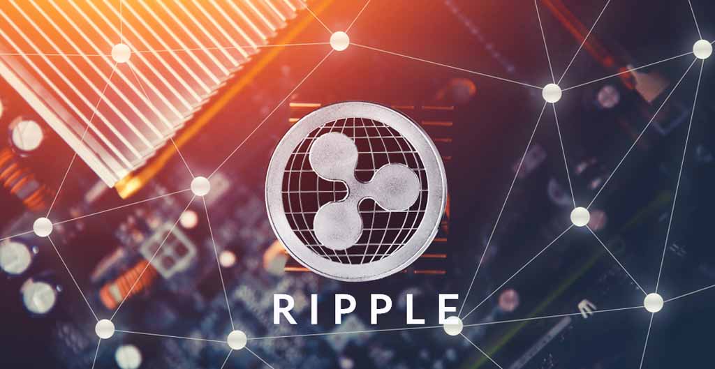 xrp coin